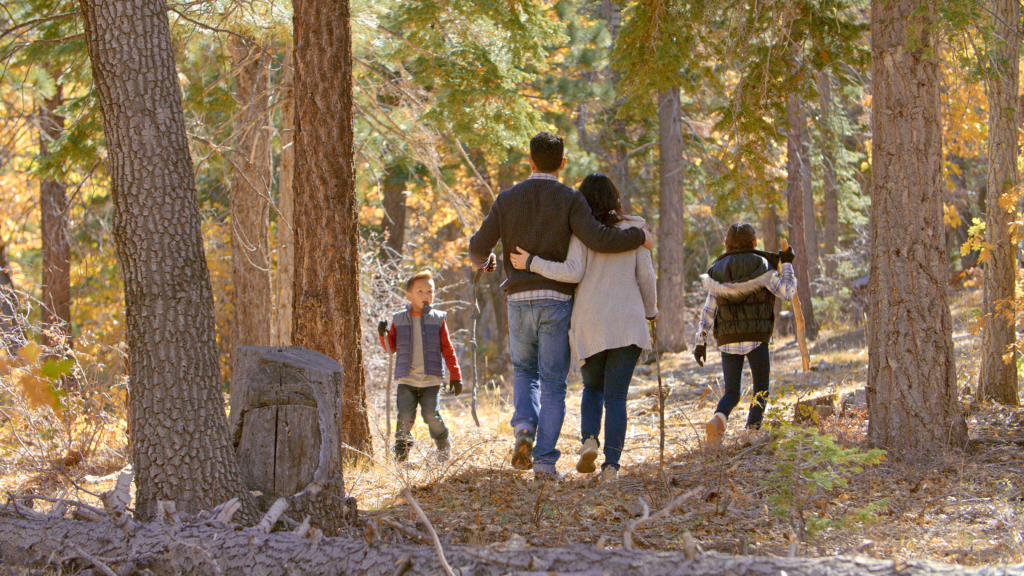 Family walking in the woods hiking