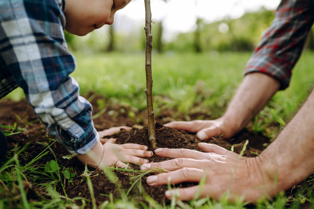 Kid and Father on ground planting a tree together in a open field and treeline in the distance
